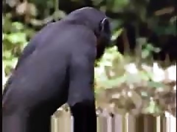Nipple slip zoo