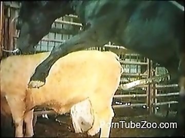 Raunchy zoo