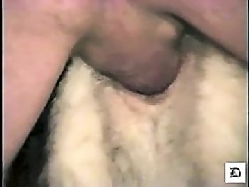 Pegging zoo