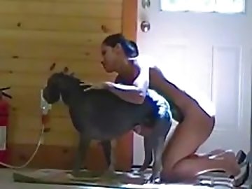 Nun zoo
